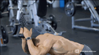 15分鐘超級腹肌打造計劃