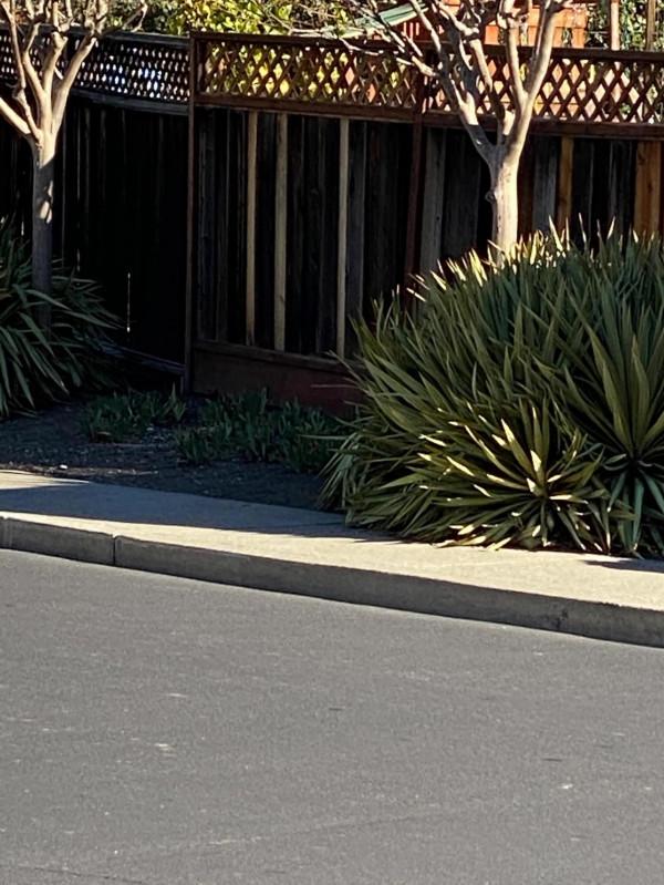 發生在我的美國鄰居們之間的故事