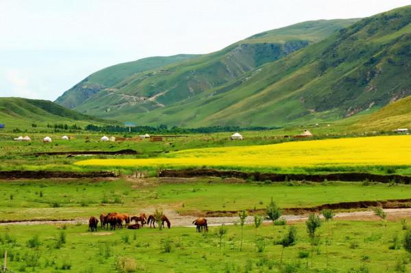 新疆風景最美的10條公路,你心動哪一條? 新疆風景最美的10條公路,你心動哪一條?