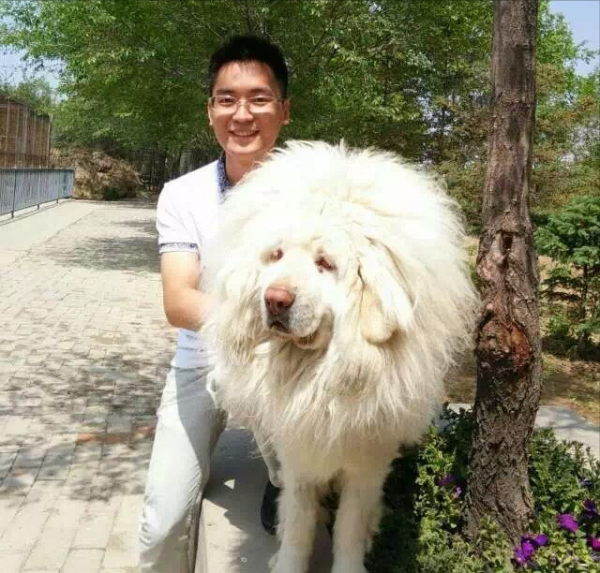 90后王峰：憑“最強大腦”走紅，我和老婆都是“腦王”