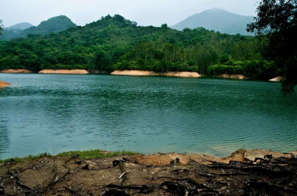 今日干貨 | 肥水塘的釣魚技巧