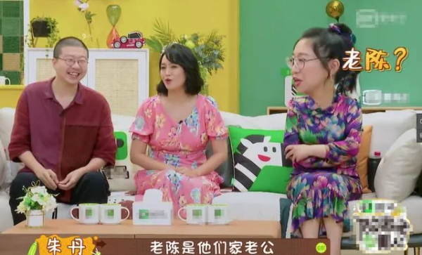 二婚追二胎，她咋又翻車了？