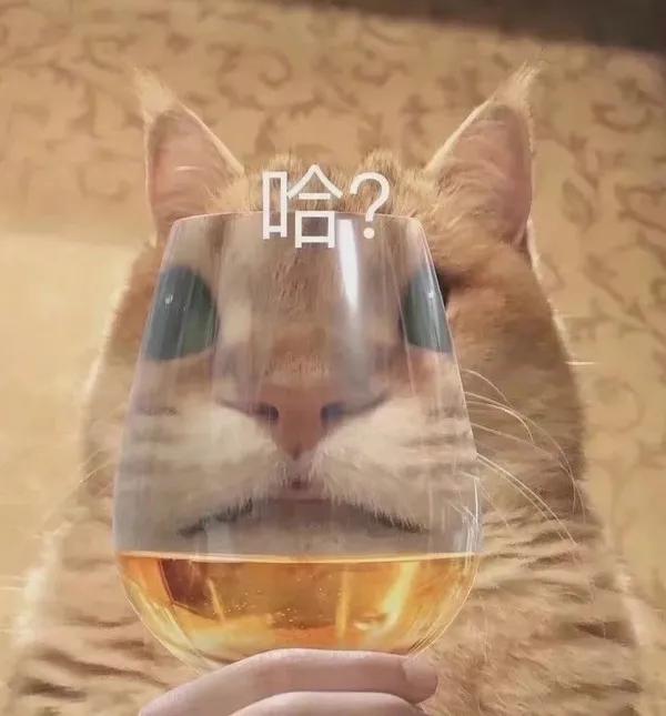 貓貓表情包(7)|人家已經掉大珍珠了 貓貓表情包(7)|人家已經掉大珍珠了