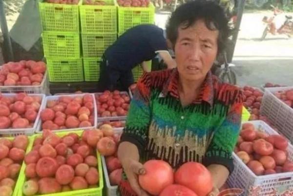 拆土灶!每戶補助二千元,農村停止建房不許翻修?這是什麼原因? 拆土灶!每戶補助二千元,農村停止建房不許翻修?這是什麼原因?