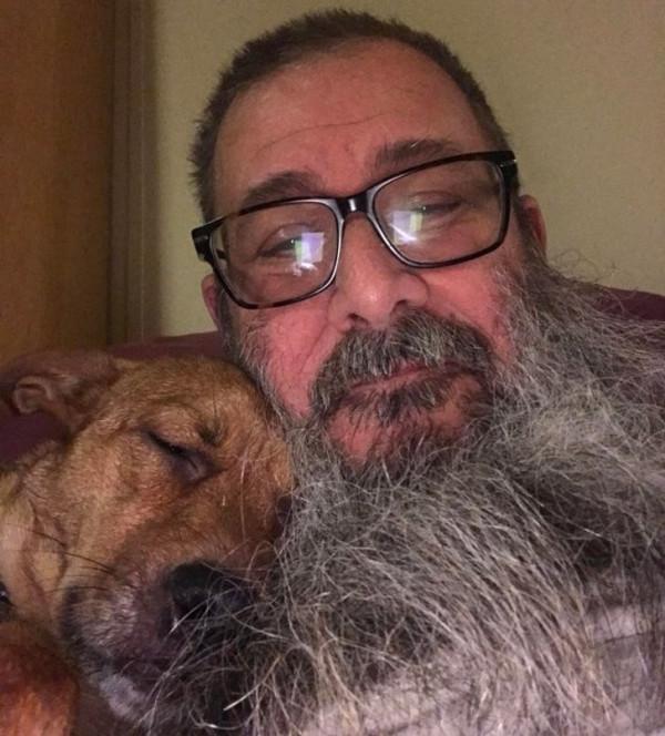 15只以上的寵物向人類表達了所有的愛 15只以上的寵物向人類表達了所有的愛