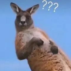 籃球場上的爭議球——雙手不合球不是合球? 籃球場上的爭議球——雙手不合球不是合球?