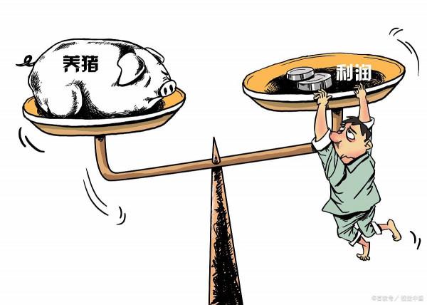 生豬價格低迷，其實大家可以這樣玩