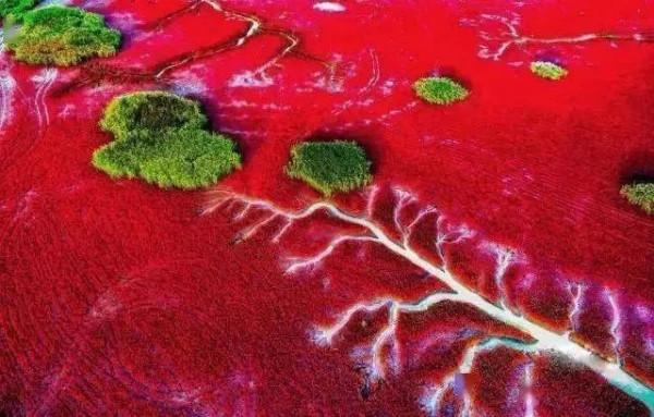 美！外國人眼裡最羨慕的中國美景，你都去過嗎？