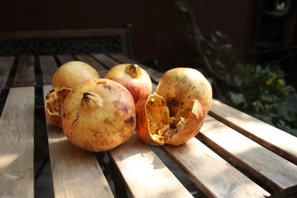 德國大師紮根北京胡同20年:中國元素使我獨樹一幟 德國大師紮根北京胡同20年:中國元素使我獨樹一幟