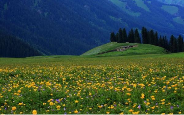 你想要來的新疆2022年是這樣的