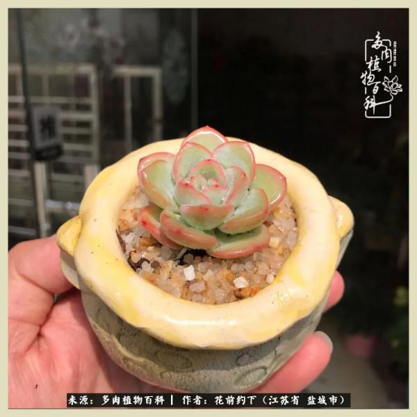 你儘管善良,福報都在路上 你儘管善良,福報都在路上