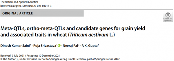 原創解讀 &vert;TAG小麥產量相關性狀遺傳位點的Meta分析