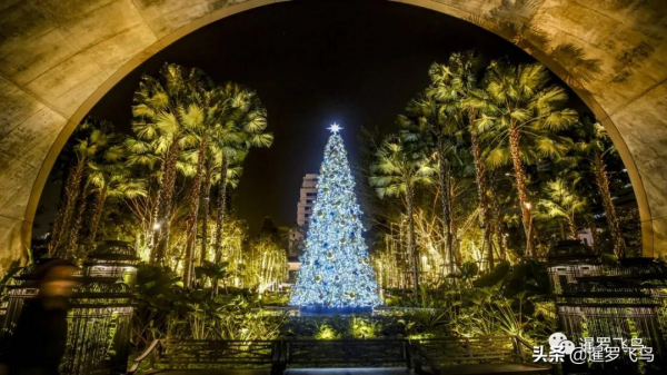 體驗新年最濃氛圍，曼谷全攻略來了，這些地方不可錯過