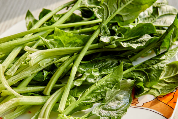 50歲後進入養壽期，營養均衡比鍛鍊更重要，5種營養記得多補充