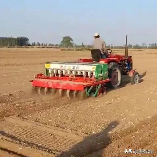 就“如何種好今年小麥”回答種植戶提問 就“如何種好今年小麥”回答種植戶提問