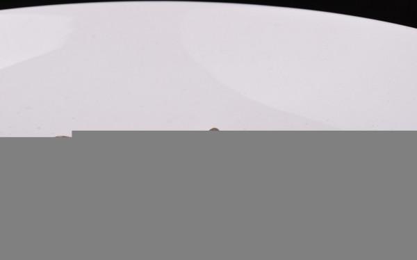 農村常見的壁虎,若是爬進家中,要不要把它趕出去? 農村常見的壁虎,若是爬進家中,要不要把它趕出去?