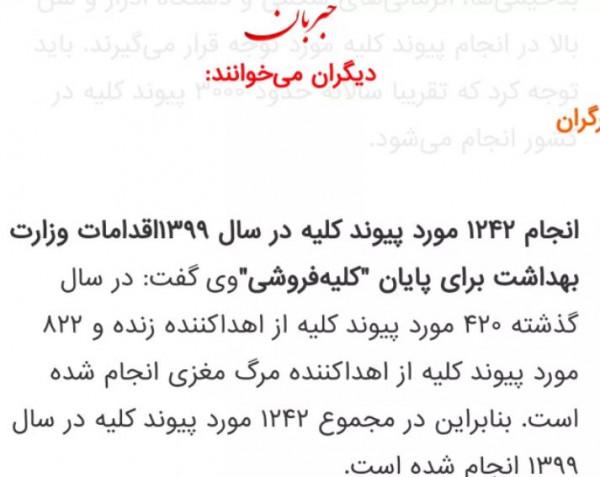 肝臟2.27萬,眼角膜2.43萬,自由交易原來可以那麼髒 肝臟2.27萬,眼角膜2.43萬,自由交易原來可以那麼髒