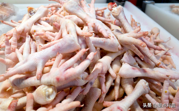 我國每年消費200多億隻雞爪，市場源源不斷的雞爪是從哪裡來的？