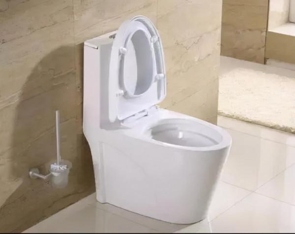 家裡的馬桶要套馬桶墊嗎？公共馬桶能不能坐？馬桶墊小竅門看這裡