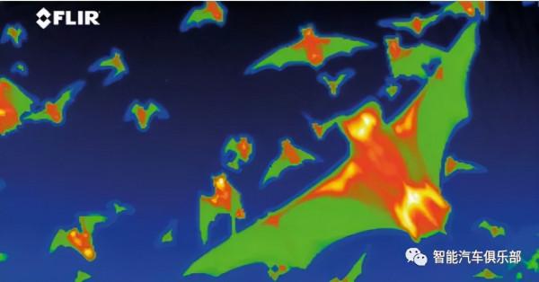 ADAS中夜視系統的分類與發展趨勢 ADAS中夜視系統的分類與發展趨勢