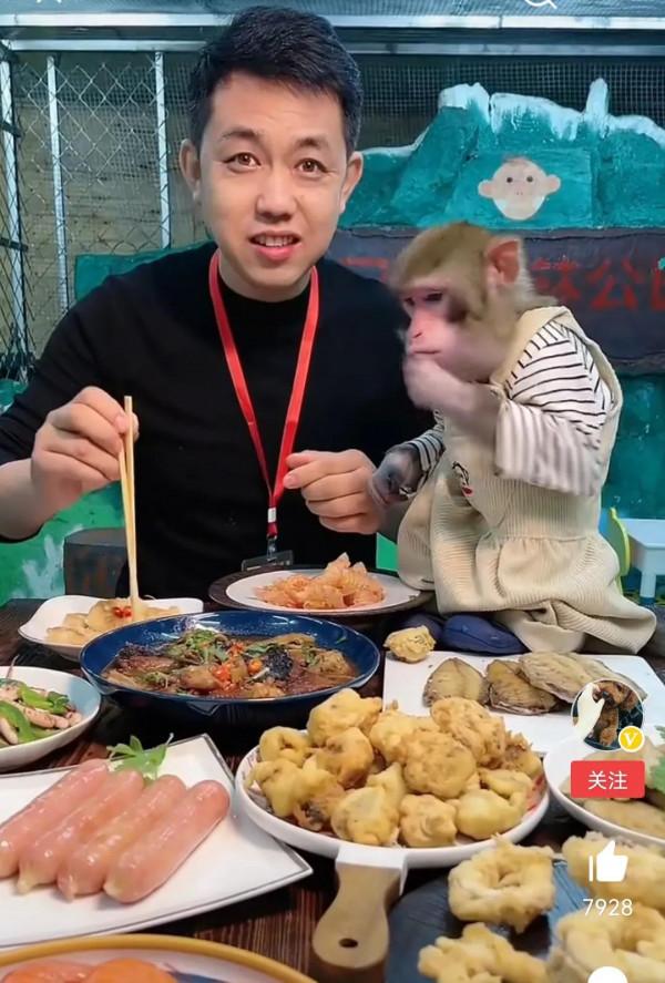 人畜不分,到底在追求啥呢? 人畜不分,到底在追求啥呢?