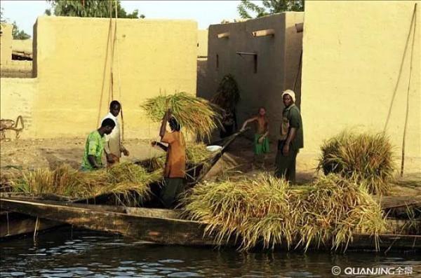 你不知道的關於“尼日共和國”的冷知識(百科) 你不知道的關於“尼日共和國”的冷知識(百科)