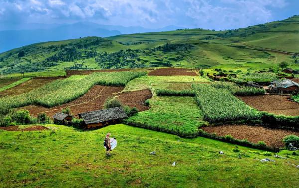 攀西秘境馬鹿寨