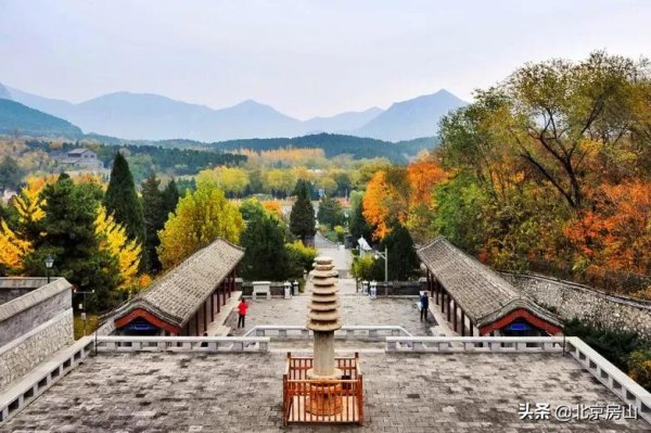 秋意濃,房山紅 !千年遺蹟、稻田荷花…第4波秋景等你去賞閱! 秋意濃,房山紅 !千年遺蹟、稻田荷花…第4波秋景等你去賞閱!