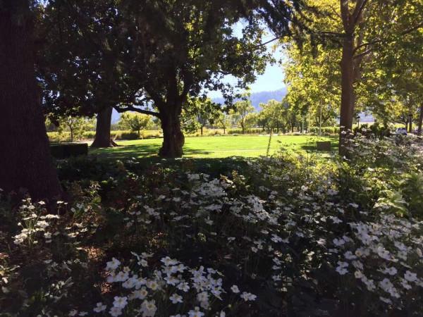 #微信朋友圈的回憶#2015年10月11日、12日 Napa Valley &amp; 回程