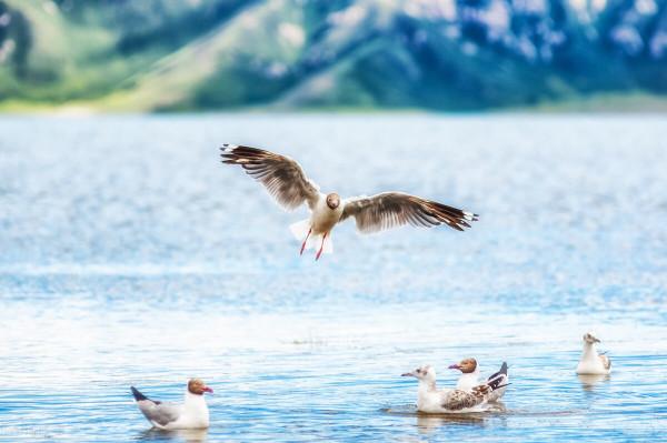 爸媽不是我的傭人