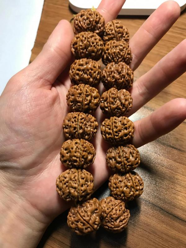 我與大金剛的點點滴滴