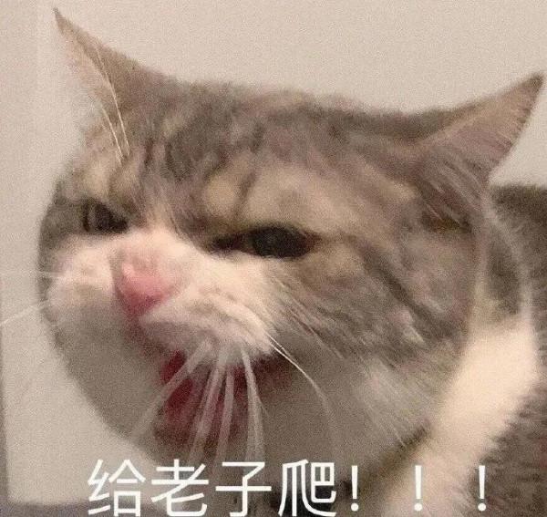 反轉!房子加名字存在程式性錯誤,噁心的後媽一分錢也別想拿到 反轉!房子加名字存在程式性錯誤,噁心的後媽一分錢也別想拿到