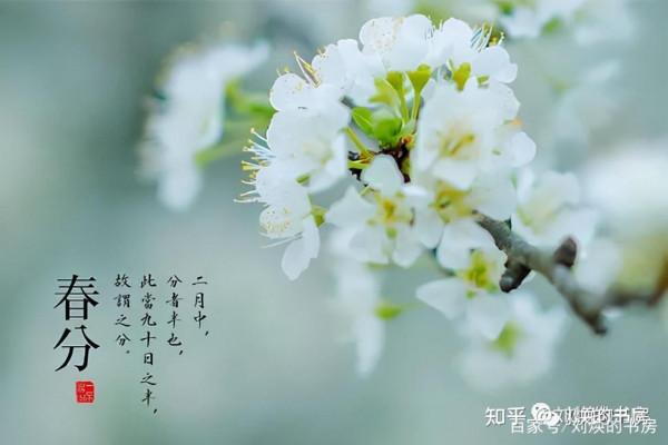 如果把中國2000年帝制濃縮在一年時間裡,誰是春天?誰是冬? 如果把中國2000年帝制濃縮在一年時間裡,誰是春天?誰是冬?