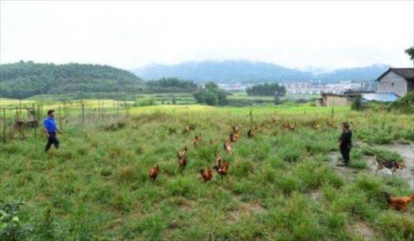 他身高1米2,結婚後幫2個弟弟娶媳婦,今一家10口住別墅不分家 他身高1米2,結婚後幫2個弟弟娶媳婦,今一家10口住別墅不分家