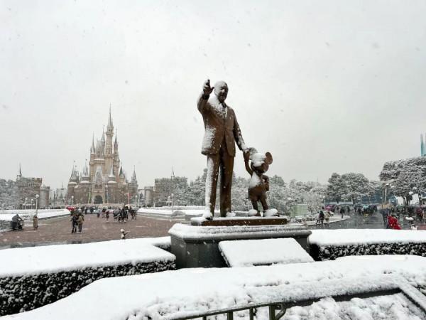 2022東京初雪,這個近45年來最冷的冬天,美翻了 2022東京初雪,這個近45年來最冷的冬天,美翻了