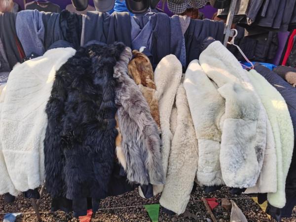 東北大集都有點啥，快跟我一起逛逛