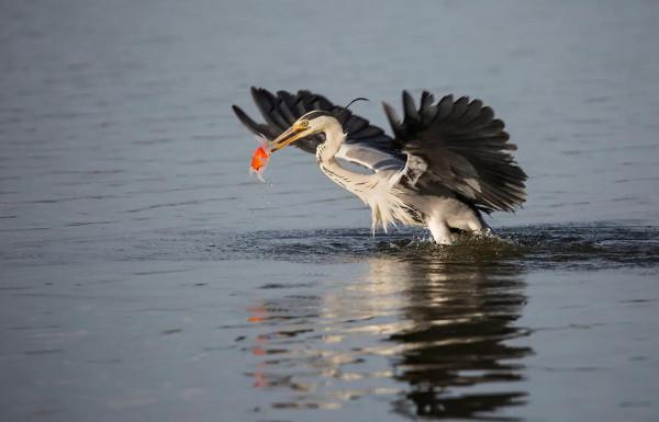 小故事大道理:欲食之前 小故事大道理:欲食之前