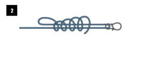 釣魚人必須知道的四種基礎線結綁法