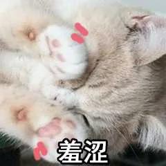 搞笑表情包-_-||可愛貓貓能有什麼壞心思呢