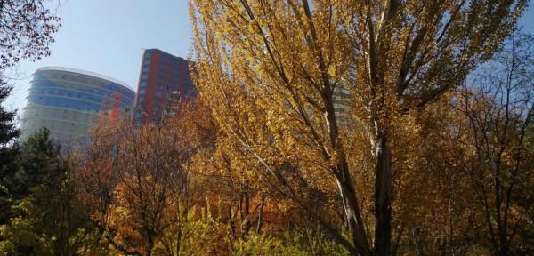 小時候的呼和浩特記憶片段(十二)人民公園 小時候的呼和浩特記憶片段(十二)人民公園