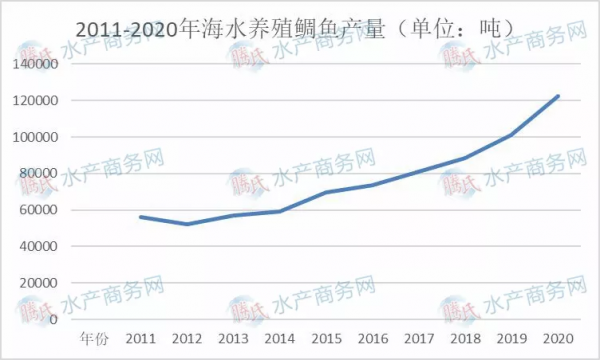 海水養殖十大魚類產量變化大，大黃魚躍漲首位，石斑鱸魚爭二三