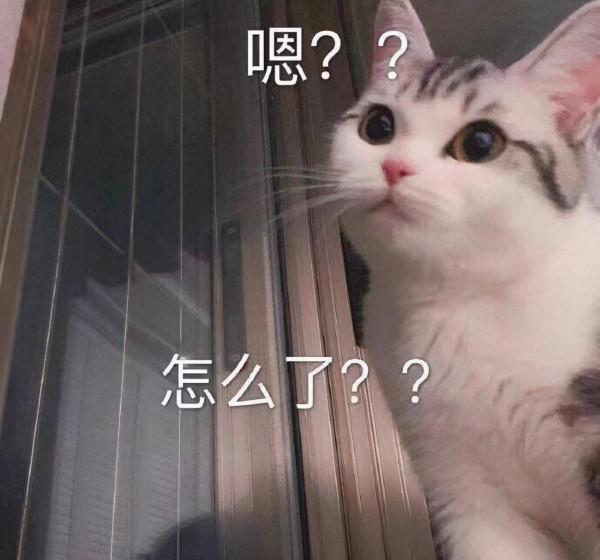 修貓表情包第一彈，趕快收藏起來吧