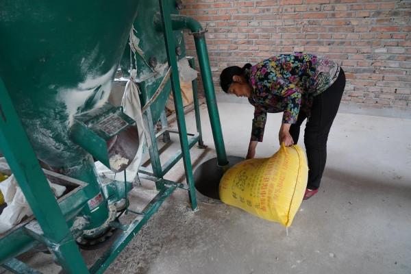 男孩爸爸病逝後被媽媽拋棄，姑媽拖著病體不顧反對將“孤兒”養大