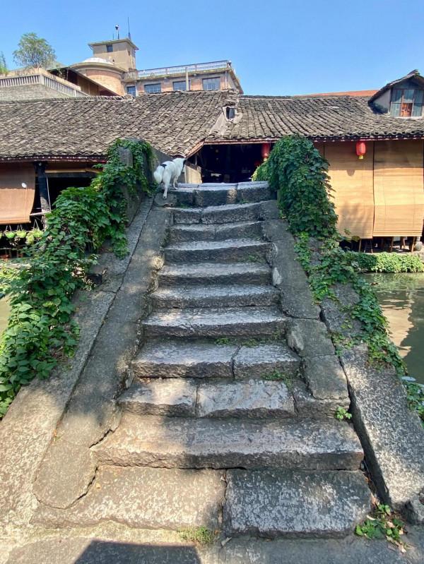 最美的江南古鎮 太美味了 最美的江南古鎮 太美味了