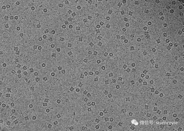 世界上解析度最高的照片,甚至可以看清原子的模樣! 世界上解析度最高的照片,甚至可以看清原子的模樣!