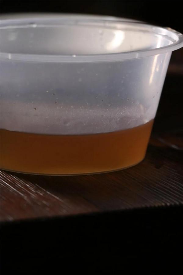 咖啡樹苗/培育計劃 第1周