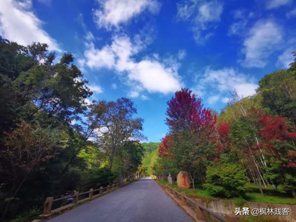 遼寧的這個地方,楓葉變紅,秋光初現,邀您共度中秋佳節 遼寧的這個地方,楓葉變紅,秋光初現,邀您共度中秋佳節