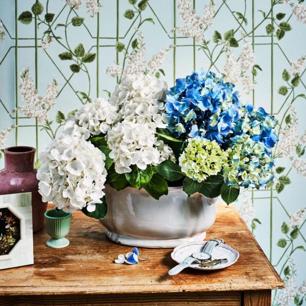 50個庭院植物搭配,幫你設計出絕美的治癒系小花園,收藏啦 50個庭院植物搭配,幫你設計出絕美的治癒系小花園,收藏啦