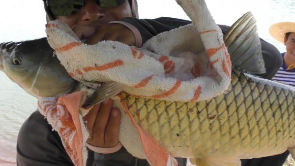 到底白天大魚好釣還是晚上大魚好釣？用實踐和科學證明