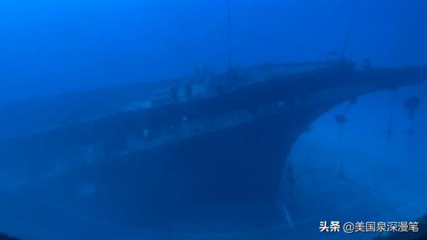 乘風破浪觀賞巨鯨 海底探險博覽魚群